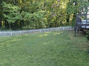 Don V.'s Grass Cutting service result