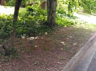 Bush Trimming by Andre Thompson for Jennifer R. in Gastonia, NC