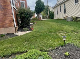 Iman K.'s Lawn Care service result