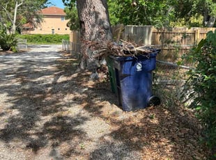 Cleanups by Feliciano Perez for Chet R. in Tampa, FL
