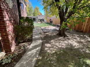 Leaf Removal by Angel Morones for Virginia H. in Denver, CO