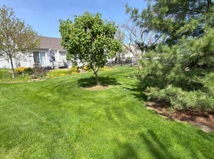 Ramesh G.'s Lawn Mowing Service service result