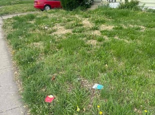 Cleanups by Robert Thomas for Daniel A. in Florissant, MO