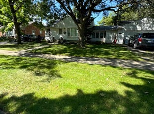 Blake N.'s Lawn Service service result