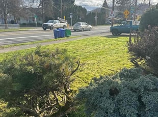 Sarah Z.'s Grass Cutting service result