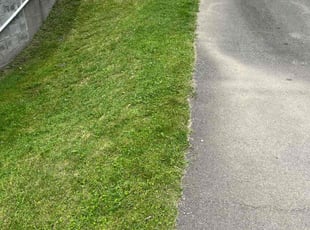 Janet P.'s Yard Cutting service result
