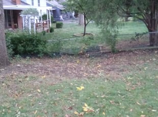 Cleanups by Aaron Vertreese for Rachel M. in Kaw Township, MO