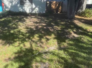 Leaf Removal by William Chavers for Jennifer G. in Riverview, FL