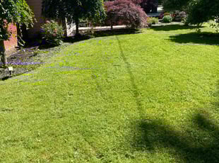 Ed G.'s Lawn Service service result