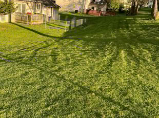 Michael B.'s Grass Cutting service result