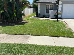 Vikki P.'s Lawn Mowing service result