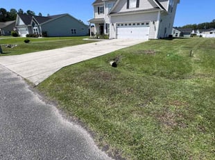 Ashley C.'s Lawn Care service result