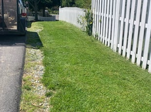 Andrea s.'s Lawn Mowing service result