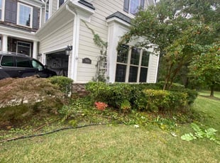 Elanah A.'s Lawn Service service result