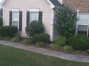 Marcel M.'s Bush Trimming service result