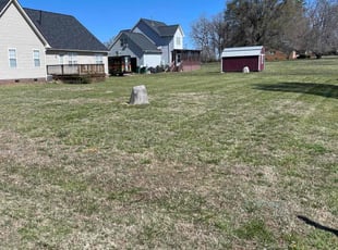Liz S.'s Lawn Mowing service result