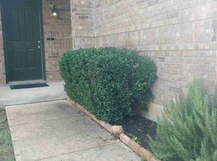 Bush Trimming by Jason Salazar for Travis O. in San Antonio, TX