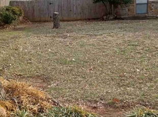 Cleanups by Mathew Landreth for Mark A. in Norman, OK