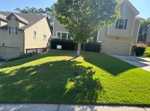 Bernardo S.'s Yard Cutting service result