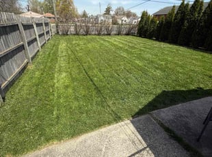 Justin S.'s Lawn Mowing service result