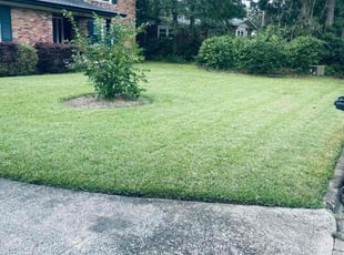 Kenny O.'s Lawn Care service result