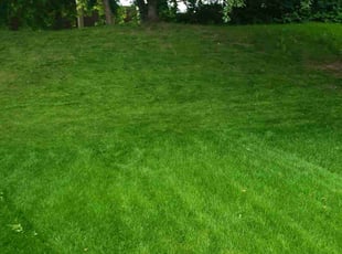 John B.'s Lawn Mowing service result
