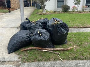 Leaf Removal by Jeconiah Conway for Corey D. in Lafayette, LA