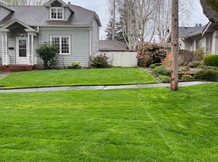 Alyssa M.'s Lawn Care service result