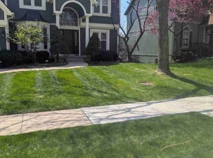 Ryan L.'s Lawn Mowing service result