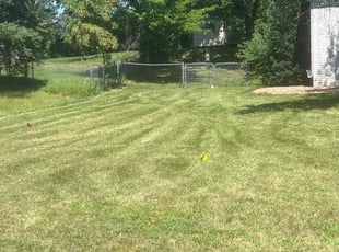 Steve D.'s Lawn Maintenance service result