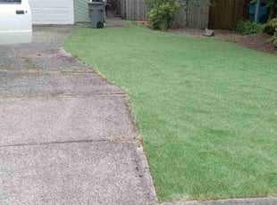 Jackie B.'s Yard Cutting service result