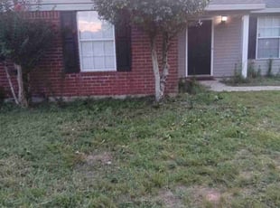 Diana B.'s Bush Trimming service result