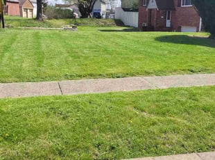 Zach T.'s Lawn Service service result