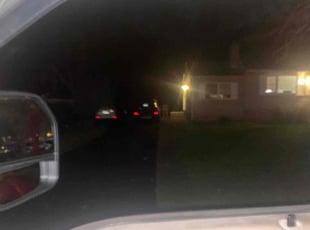 Leaf Removal by Kevin Preneta for Alana S. in Milford, CT