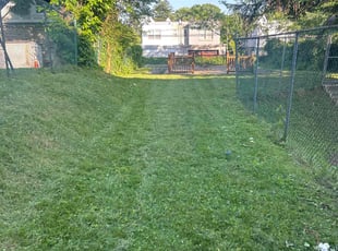 Sherry T.'s Lawn Mowing service result