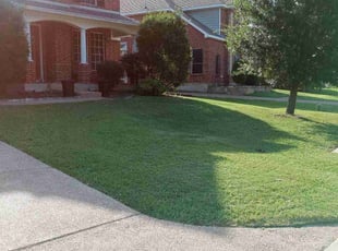 David H.'s Lawn Care service result