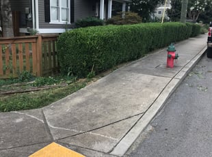 Bush Trimming by LaBronn Anderson for Shannon F. in Nashville, TN