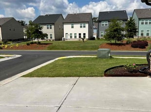 Celeste M.'s Lawn Care service result