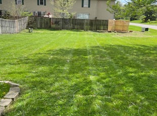 Carol C.'s Grass Cutting service result