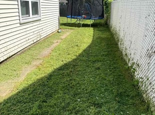 Sean R.'s Lawn Service service result