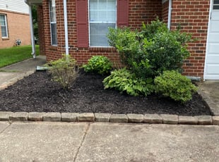 Cleanups by Jeffrey Blow for Jackie E. in Hampton, VA