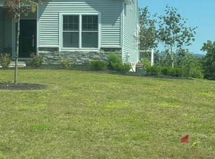 Jonathan S.'s Lawn Service service result
