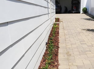 Landscaping by Armando Escobedo for Alexandra B. in Manhattan Beach, CA