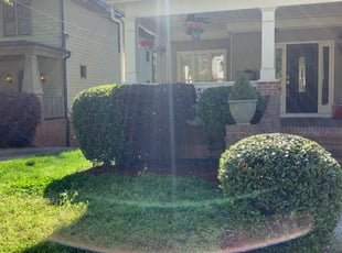 Bush Trimming by Trent Fields for Molly P. in Atlanta, GA