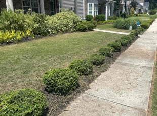 Sang Hee K.'s Lawn Maintenance service result