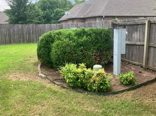 Cleanups by James Doss for Danielle S. in Fayetteville, AR