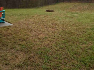 Cleanups by Thomas Murray for Fernanda E. in Charlotte, NC