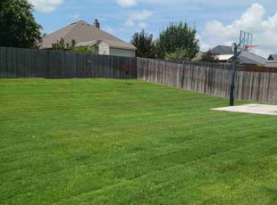Eric H.'s Lawn Care service result