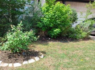 Weeding by Annette Amador for Neta I. in Cedar Park, TX