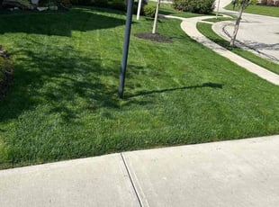 David T.'s Lawn Mowing service result